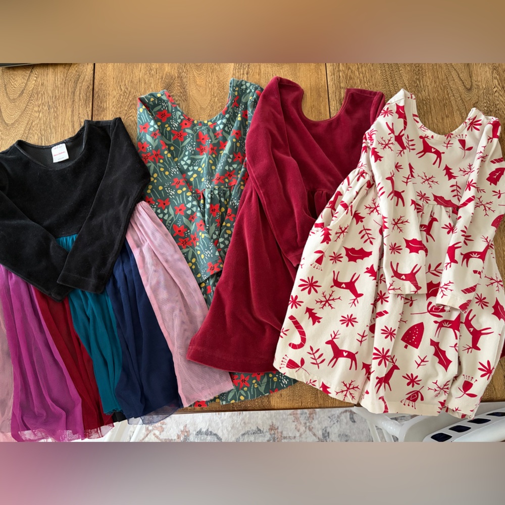 Hanna Andersson Lot Long Sleeve Skater Dresses Toddler Girl Size 4/110cm (4)
